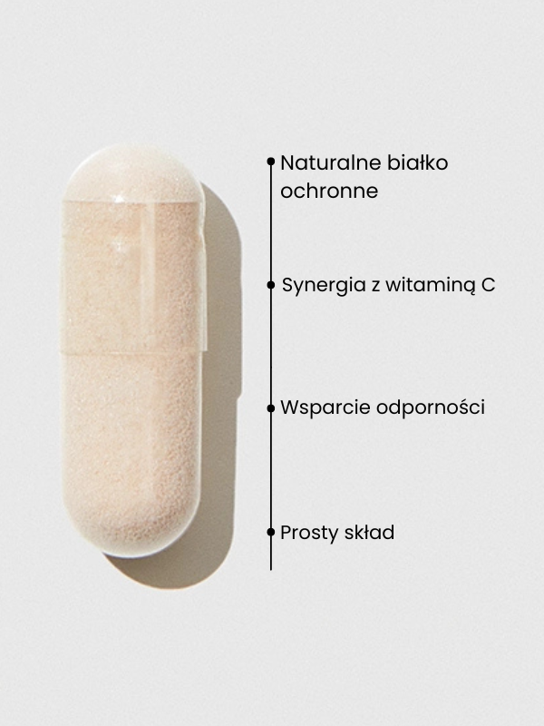 UP LACTOFER+ | Laktoferyna w kapsułkach | UP Health Pharma